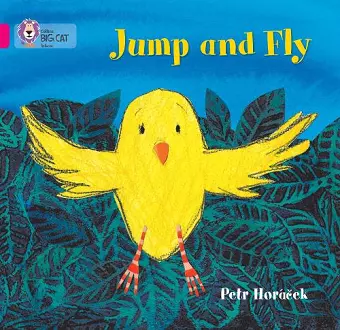 Jump and Fly cover