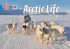 Arctic Life cover