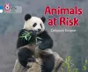 Animals at Risk cover