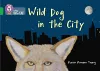 Wild Dog In The City cover