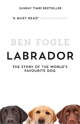 Labrador cover