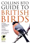 Collins BTO Guide to British Birds cover