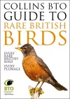 Collins BTO Guide to Rare British Birds cover