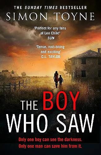 The Boy Who Saw cover