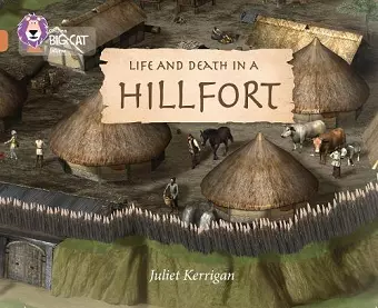 Life and Death in an Iron Age Hill Fort cover