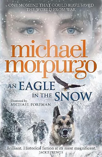 An Eagle in the Snow cover