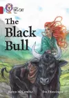 The Black Bull cover