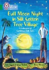 Full Moon Night in Silk Cotton Tree Village: A Collection of Caribbean Folk Tales packaging