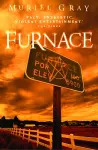 Furnace cover