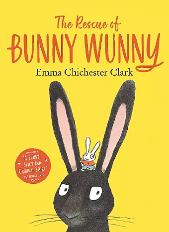 The Rescue of Bunny Wunny cover