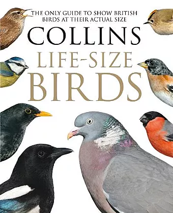 Collins Life-Size Birds cover