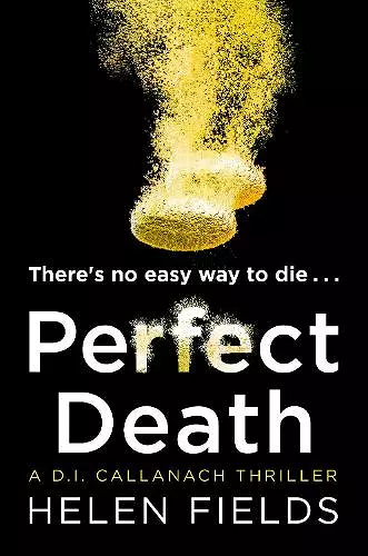 Perfect Death cover