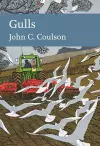 Gulls cover