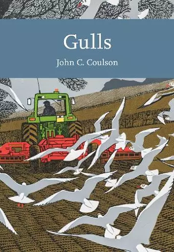 Gulls cover