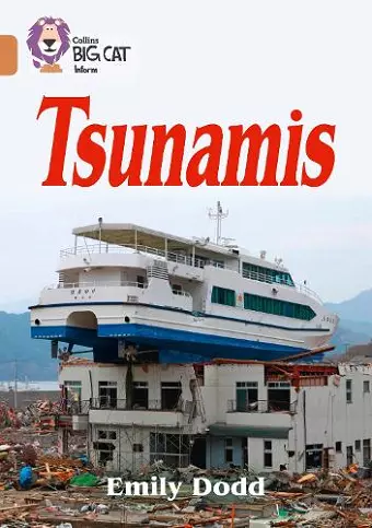 Tsunamis cover