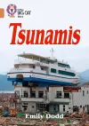 Tsunamis cover
