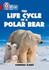 The Life Cycle of a Polar Bear cover