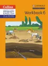 International Primary English as a Second Language Workbook Stage 6 cover
