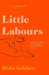 Little Labours cover