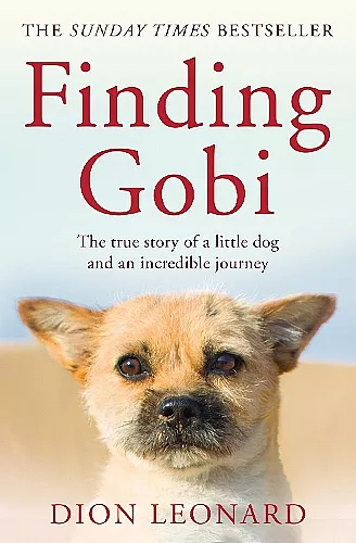 Finding Gobi (Main edition) cover