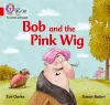 Bob and the Pink Wig cover