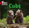 Cubs cover