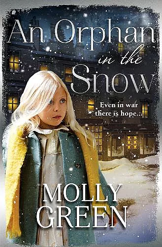 An Orphan in the Snow cover