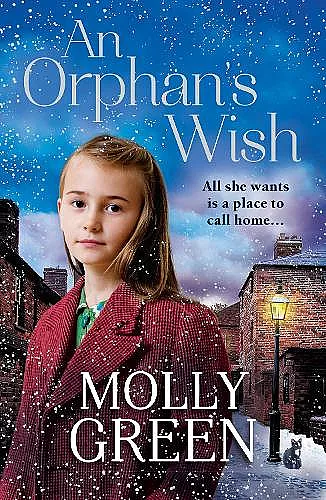 An Orphan’s Wish cover