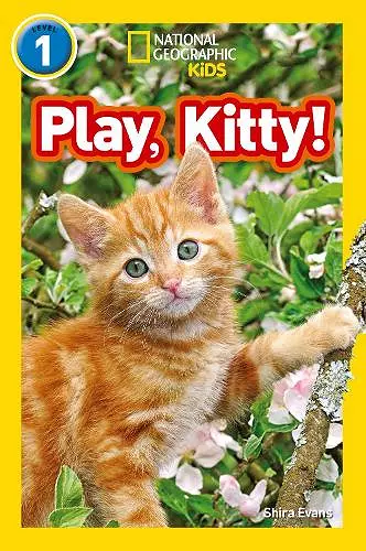 Play, Kitty! cover