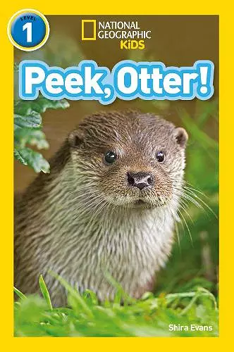 Peek, Otter! cover