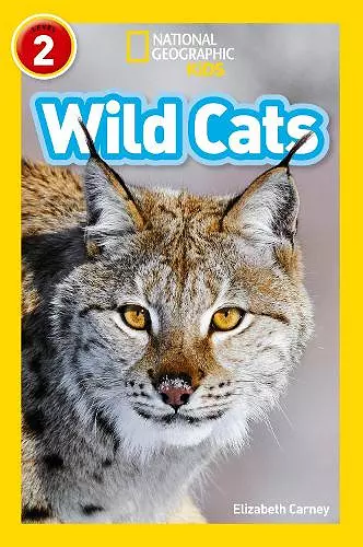 Wild Cats cover