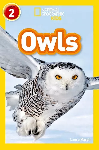 Owls cover