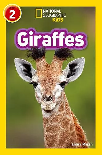 Giraffes cover