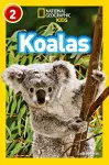Koalas cover