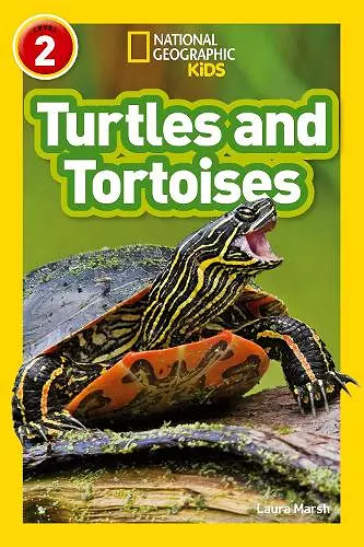 Turtles and Tortoises cover