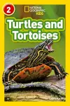 Turtles and Tortoises cover