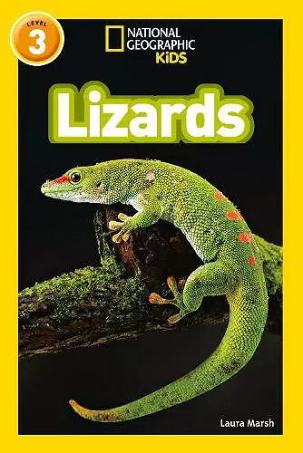 Lizards cover