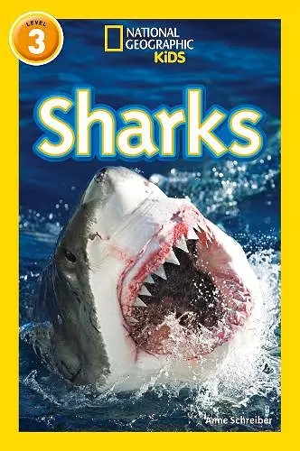 Sharks cover