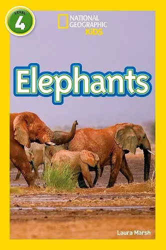 Elephants cover