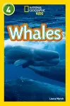 Whales cover