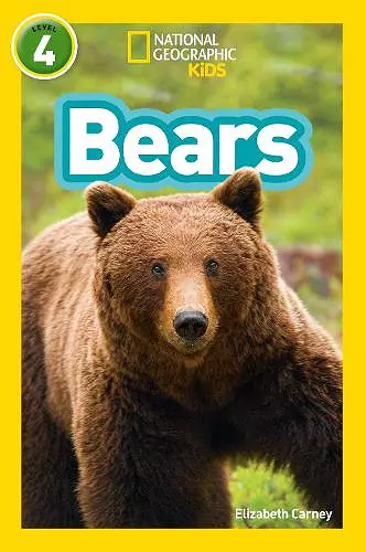 Bears cover