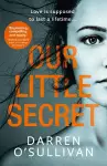 Our Little Secret cover