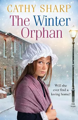 The Winter Orphan cover