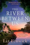 The River Between Us cover