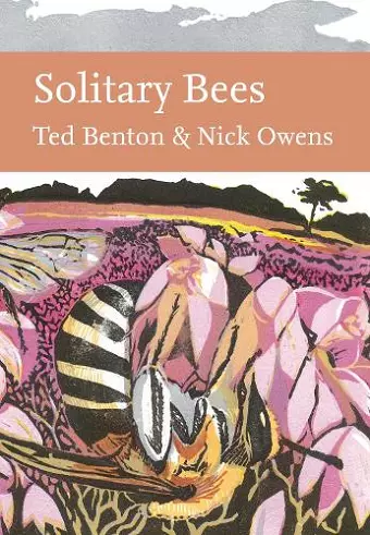 Solitary Bees cover