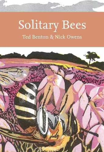 Solitary Bees cover