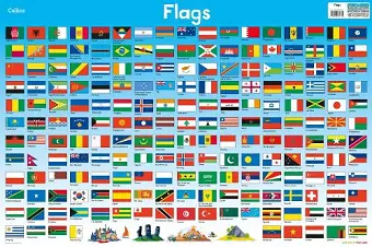 Flags cover