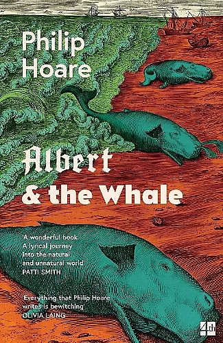 Albert & the Whale cover