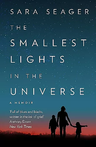 The Smallest Lights In The Universe cover