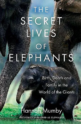 The Secret Lives of Elephants cover